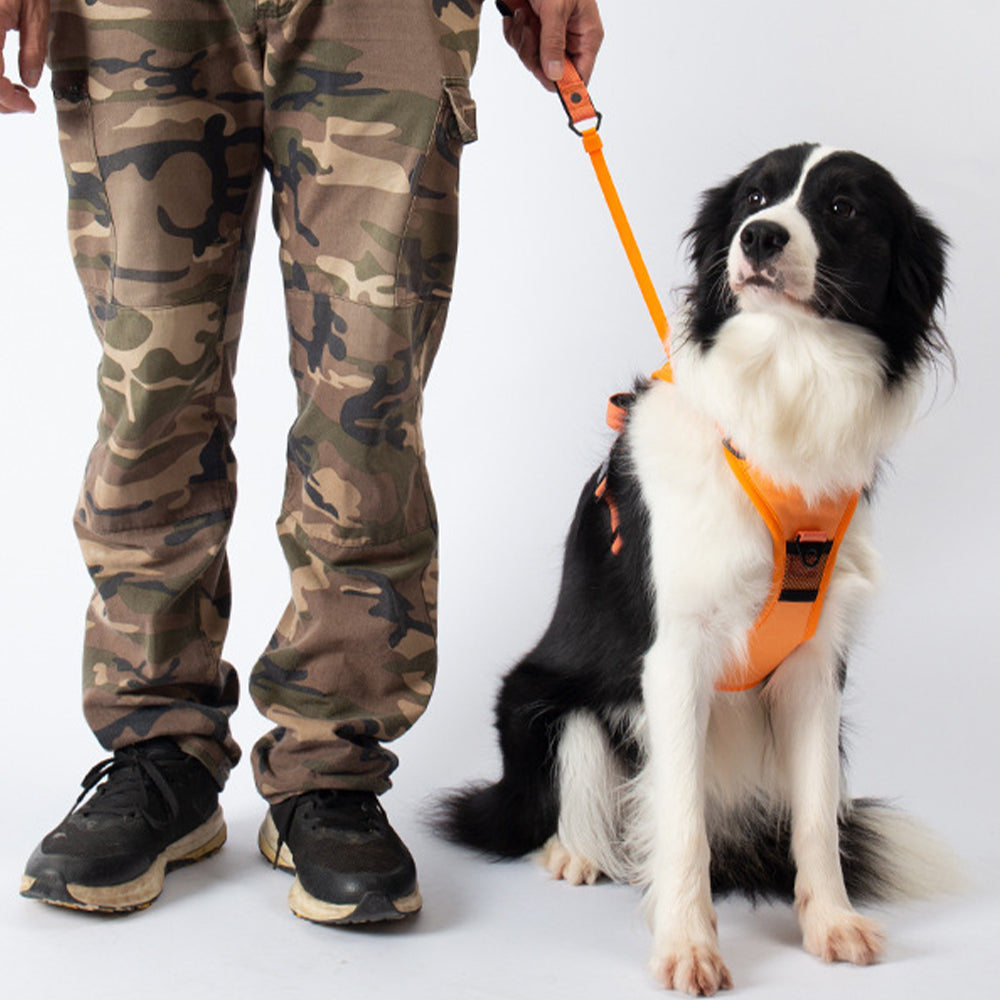 2-in-1 Reflective No-Pull Dog Harness with Retractable Leash – Black - L - Pets Preference