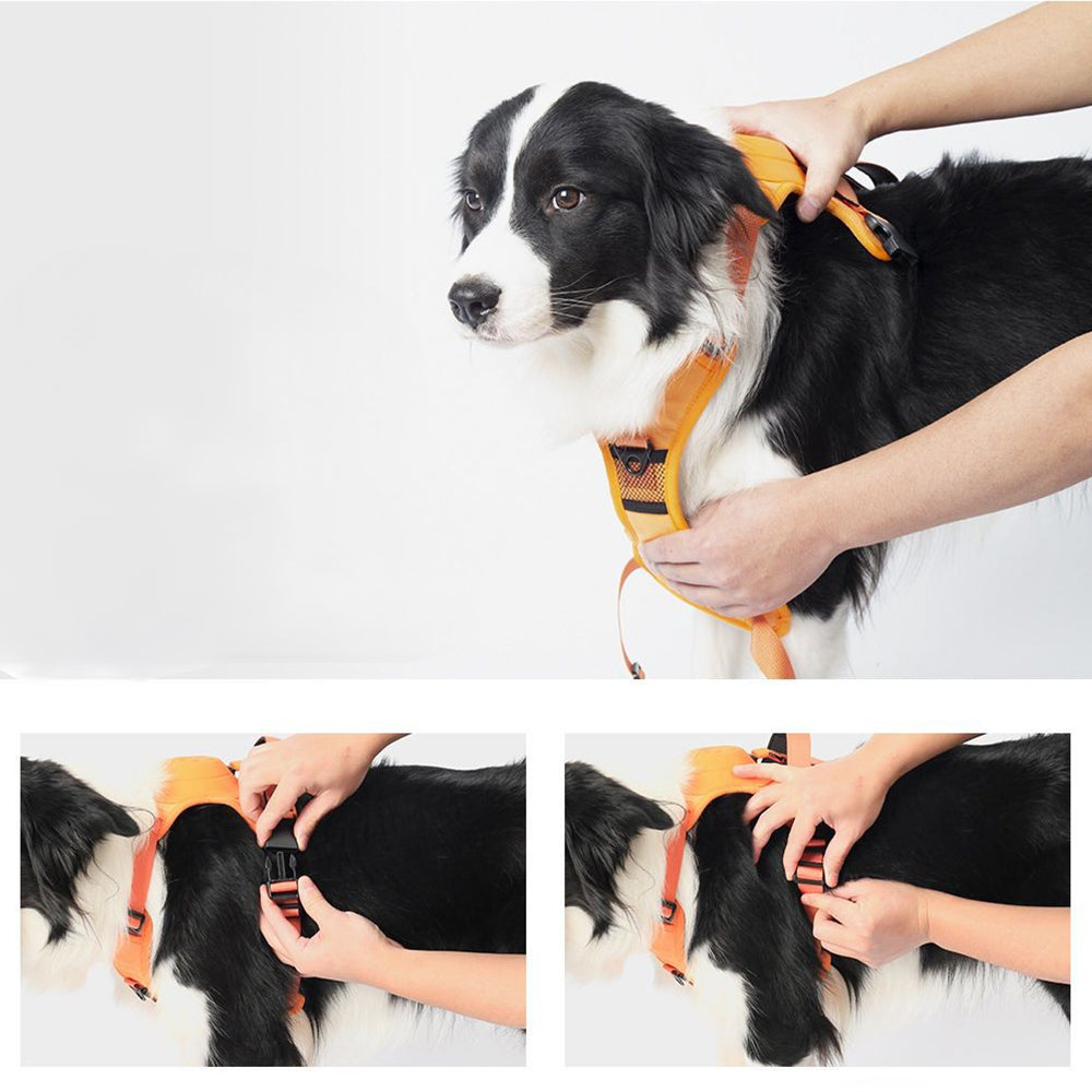 2-in-1 Reflective No-Pull Dog Harness with Retractable Leash – Black - L - Pets Preference