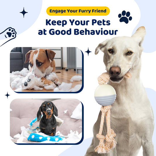 Durable Knot Rope and Ball Dog Toy - Interactive - Pets Preference